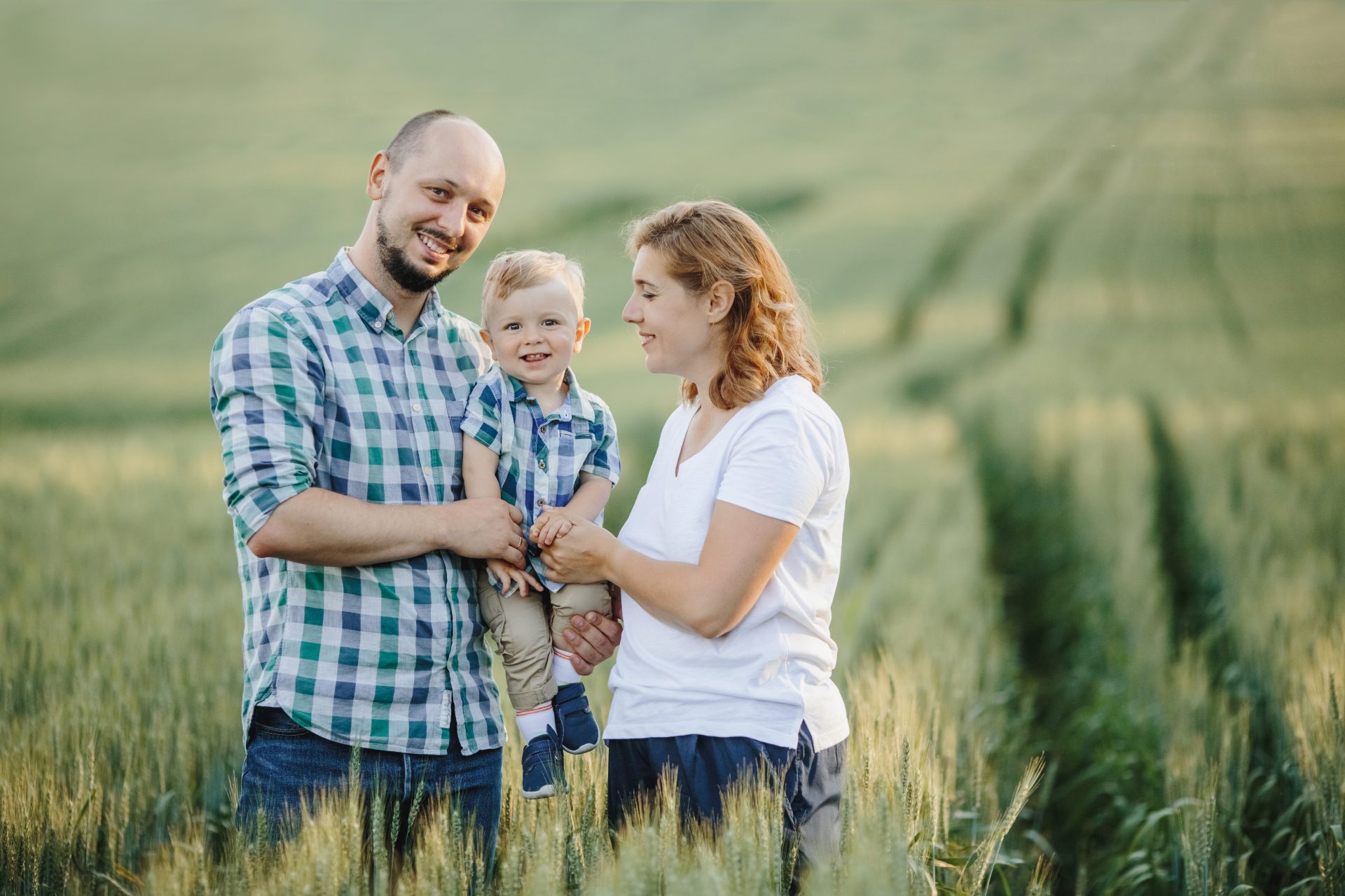 LIVEO ģimene pļava